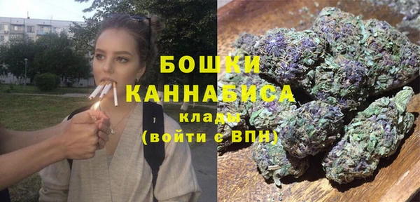шишки Зеленодольск