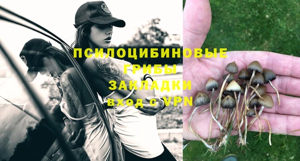 шишки Зеленодольск