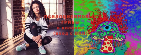 шишки Зеленодольск