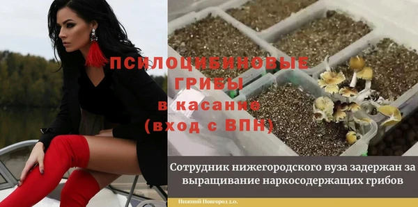 mdma Зерноград